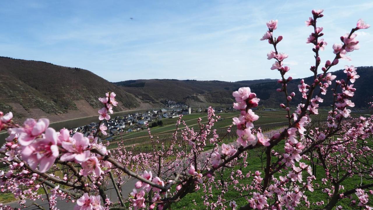 Gaestehaus Preuss Ellenz-Poltersdorf Luaran gambar